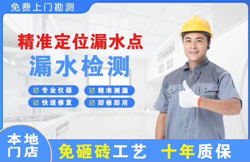 桃城精准测漏点